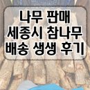 세종나무조경 | 나무 판매 | 세종시 참나무 배송 생생 후기