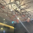 란이 | 세종 도담동 중식당 란이 기념일 룸식당 코스요리 후기