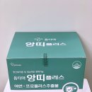 옵티마건강약국 | 옵티마약국 건강기능식품 앙띠 플러스로 면역력 지키기