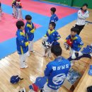 드림태권도 스포츠클럽 이미지