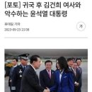 드림의전