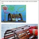 집게리아 이미지