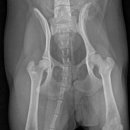 검단이담동물의료센터 이미지