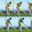 우리스포츠센터(골프) 이미지