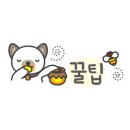 삼성화이트피부과의원 이미지