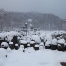 승민농장 이미지