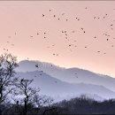 갤러리천수만 이미지