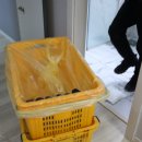 바로이사익스프레스 이미지