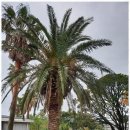 주부토로56번길 | 부평신점 마음의 어둠을 걷어낸 신명의 상담 후기