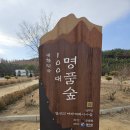 병곡숲화장실 | [영덕] 가볼 만한 곳 (메타세콰이어 숲, 고래불해수욕장, 병곡 방파제, 삼사해상 산책로, 해파랑공원 )