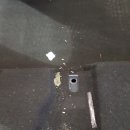 보성크리닝 이미지