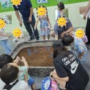 나비공원 이미지