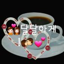 사랑해어