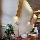 스테이더딜라잇프라이빗 이미지