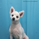 엉클장동물병원 이미지