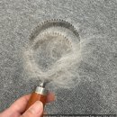 PUPPY Grooming (퍼피 그루밍) | 🐱 고양이 빗질이 중요한 이유 + 언더코트 빗 솔직 후기 — 꾸뚱이한테서 이만큼 나왔어요