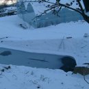 태평농장 이미지