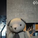 [포포 돌잔치 ep.6] 내돈내산 돌스냅 잇츠스냅 추천!(동탄 신라스테이 돌잔치)