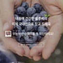 뜰안농장