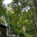 한아름김밥나라 이미지