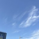 학성한우 | [용인맛집] 학성유통 - 고기 퀄리티가 예술인 은화삼CC 정육식당[위치/메뉴]