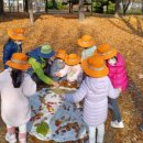 평촌초등학교 이미지