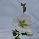 경기둘레길 이천37코스 이미지