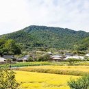 바다의 별 작은도서관 이미지