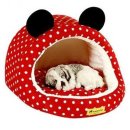 오로라펫 이미지