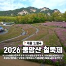 동산타운 | 서울 불암산 철쭉동산 축제 실시간 탐방 후기! 나비정원과 카페 포레스트