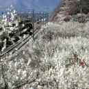 원동마을길 이미지