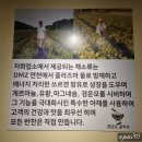 천년초우리밀칼국수 | 월계동 칼국수가 맛있는 천년초우리밀칼국수
