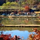 하마캠핑장 이미지