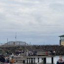 세인트필립 동물병원 | [호주_투어] 멜버른 야생펭귄무료관찰스팟 ‘세인트킬다 해변’ 예약방법 및 최신 후기