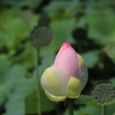 강릉행 제390차 여행후기 이미지