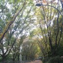 연희동 자치회관 이미지