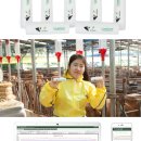 주식회사 유라이크 세계일보
