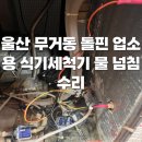 코리아세븐.포항시그너스점 | 울산 업소용 식기세척기 수리 후기｜돌핀 중고 세척기 물 계속 나오는 증상
