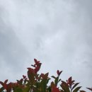 두메유기농원 이미지