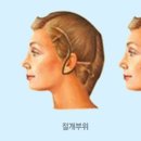 아르뜨의원