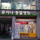 퓨리나동물병원 | 강북구 쌍문동 동물병원 퓨리나 동물병원 진료시간 접근성 이용후기