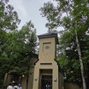 자작나무힐 | 힐 투 힐(Hill to Hill) 1971–2026 전시 관람 후기