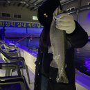 화성락실내바다낚시터 이미지