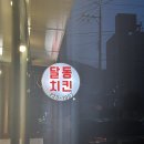 교촌치킨달동점 | [마산] 반월동 제주스러운 가정집 개조한 치킨집 - 달동치킨 🩵