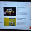 생활맥주 마로니에점 ㅣ 대학로 연극보고 가기 좋은 혜화술집 내돈내산 후기