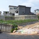 동탄나무치과의원 이미지