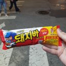 초이스노래타운 이미지