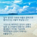 소망 - 고양시 덕양구 원당로59번길 8 | 소망