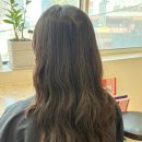 반려동물패션디자이너첫걸음 | [노원/상계/중계] 에이바헤어 상계점 아현디자이너 모발클리닉 후기(웨딩 준비 중 관리)