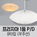 프리지아 B 이미지